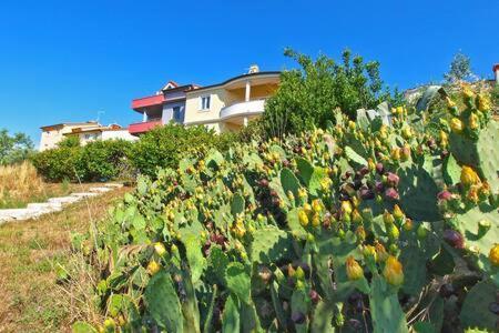 Villa Lucija PUY Eksteriør bilde